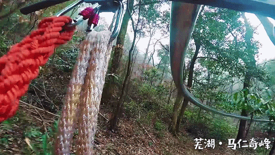 亚洲精品巨爆乳无码大乳巨