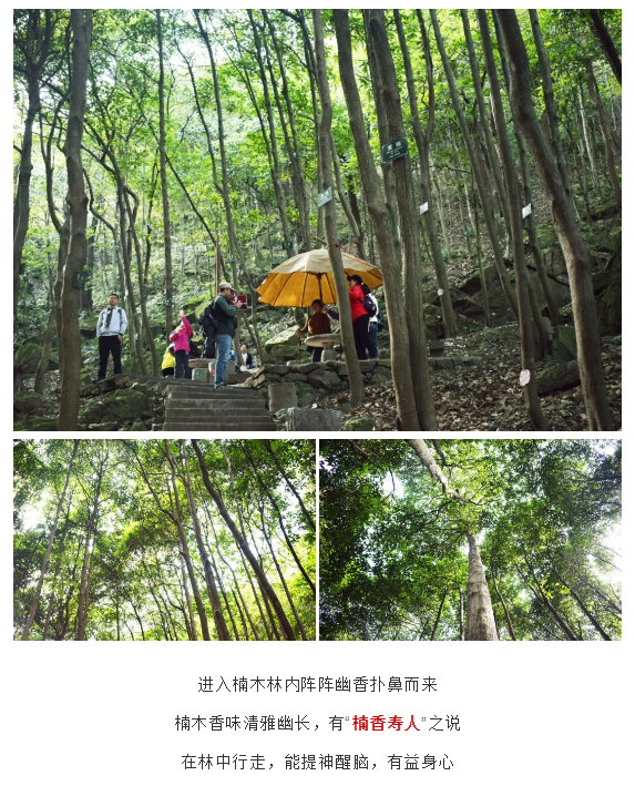 亚洲精品巨爆乳无码大乳巨