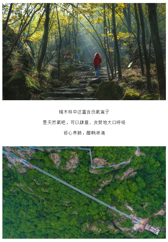 亚洲精品巨爆乳无码大乳巨