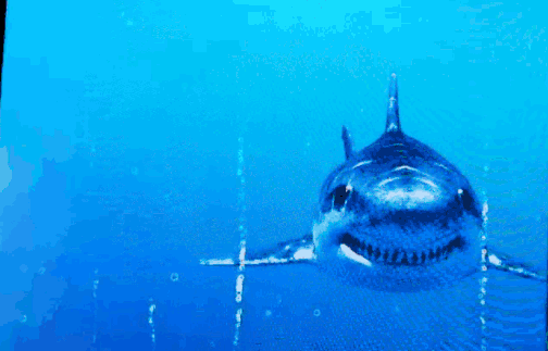 亚洲精品巨爆乳无码大乳巨