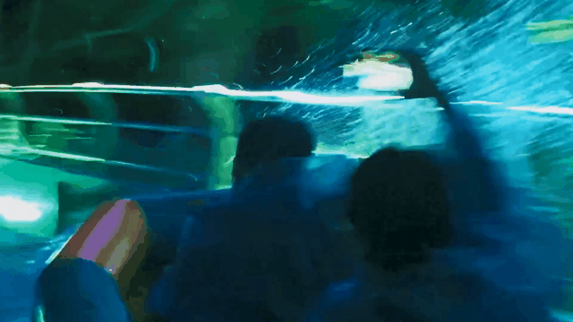 亚洲精品巨爆乳无码大乳巨