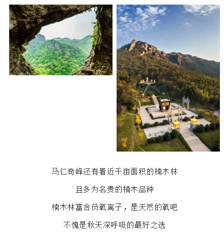 亚洲精品巨爆乳无码大乳巨