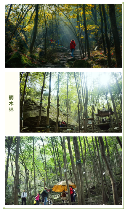 亚洲精品巨爆乳无码大乳巨