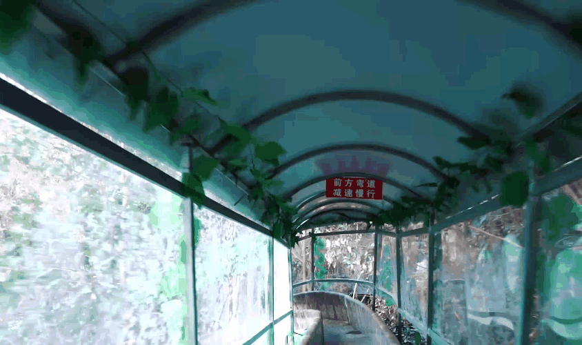 亚洲精品巨爆乳无码大乳巨