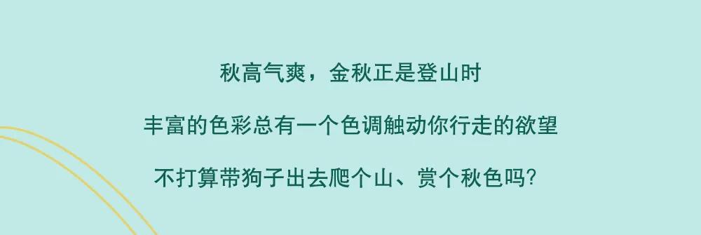 亚洲精品巨爆乳无码大乳巨