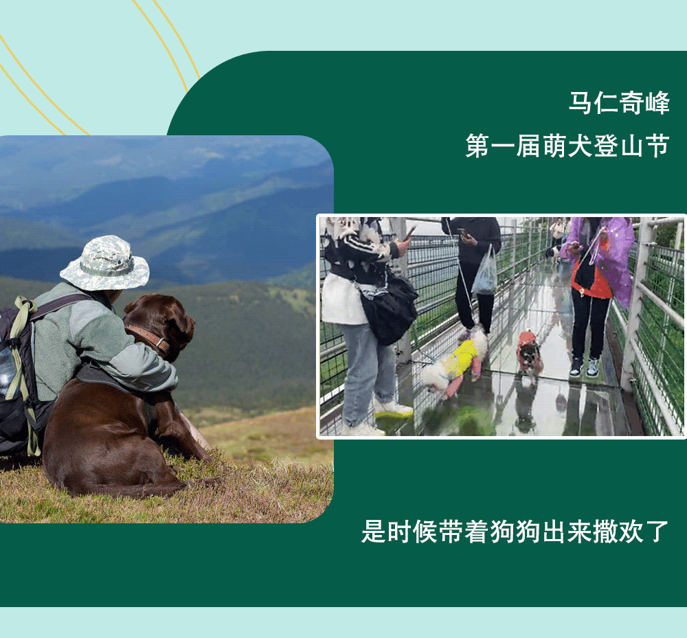 亚洲精品巨爆乳无码大乳巨