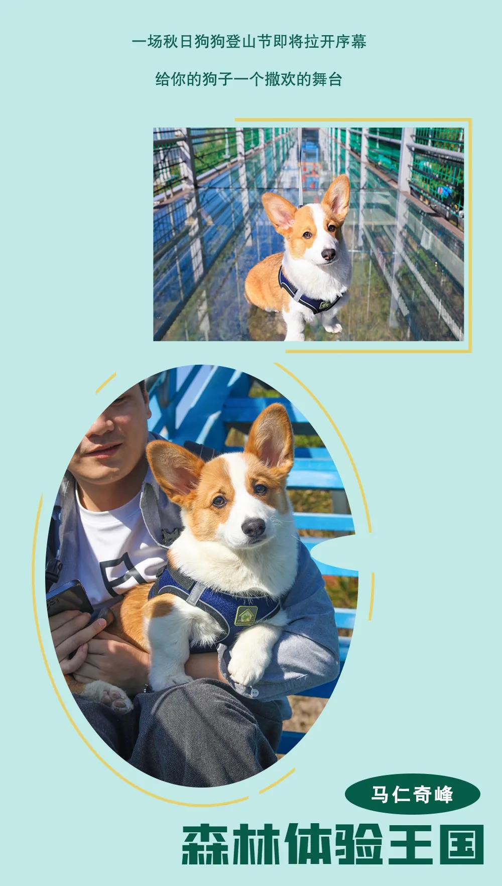 亚洲精品巨爆乳无码大乳巨