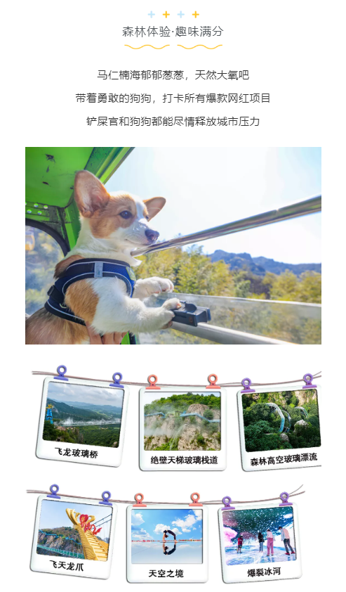 亚洲精品巨爆乳无码大乳巨