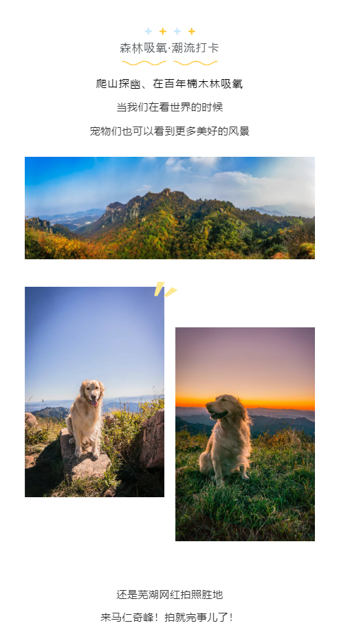 亚洲精品巨爆乳无码大乳巨