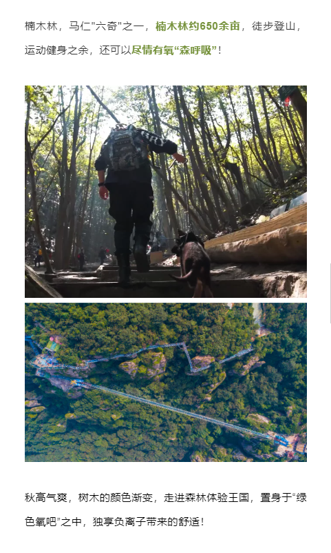 亚洲精品巨爆乳无码大乳巨