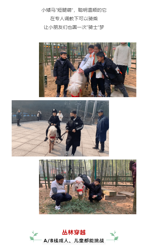 亚洲精品巨爆乳无码大乳巨