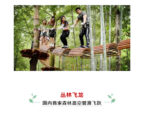 亚洲精品巨爆乳无码大乳巨