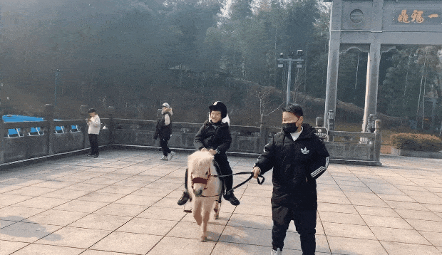 亚洲精品巨爆乳无码大乳巨