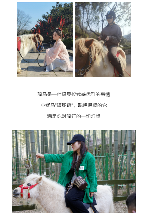 亚洲精品巨爆乳无码大乳巨