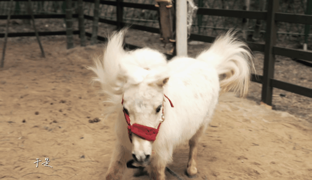 亚洲精品巨爆乳无码大乳巨