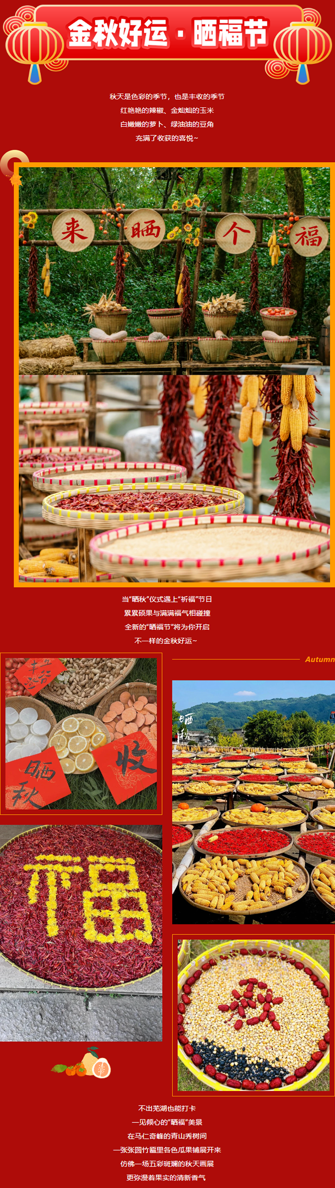 亚洲精品巨爆乳无码大乳巨