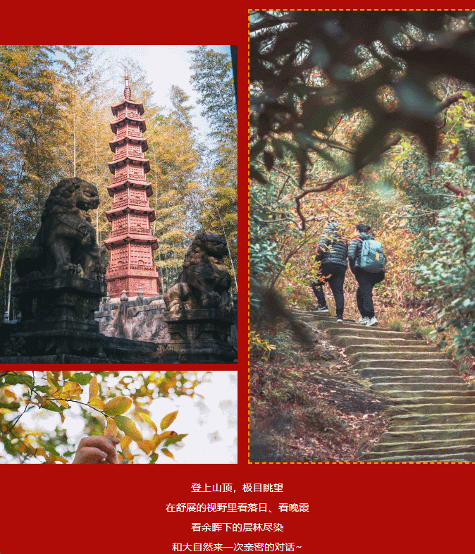 亚洲精品巨爆乳无码大乳巨