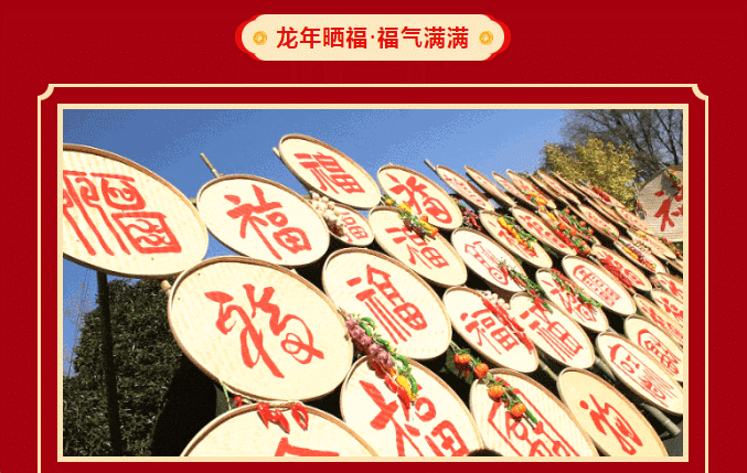 亚洲精品巨爆乳无码大乳巨