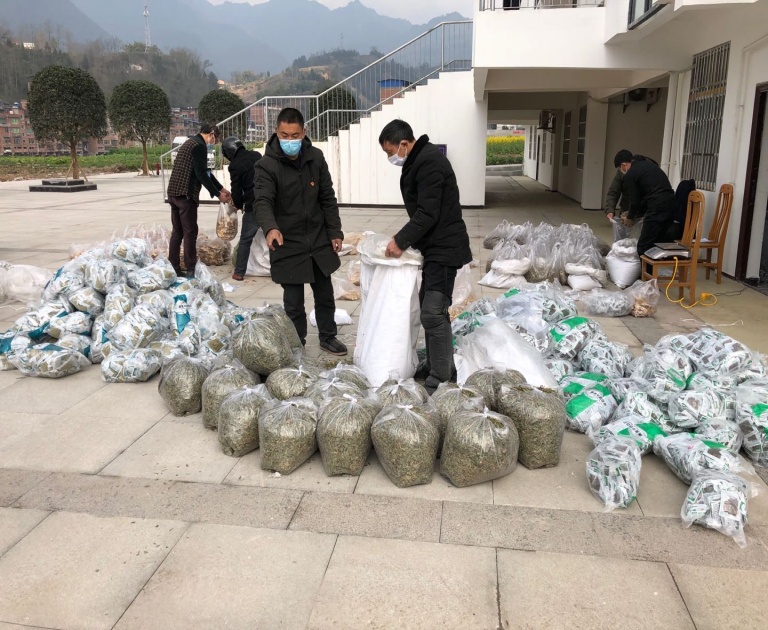 亚洲精品巨爆乳无码大乳巨
