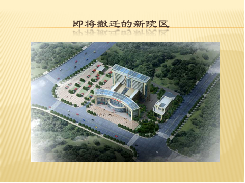 亚洲精品巨爆乳无码大乳巨