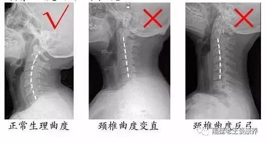 亚洲精品巨爆乳无码大乳巨