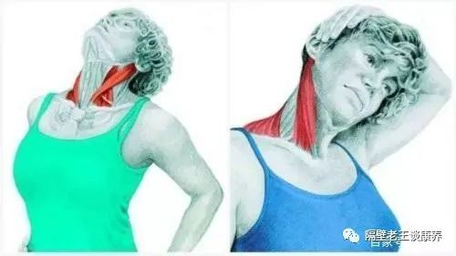 亚洲精品巨爆乳无码大乳巨