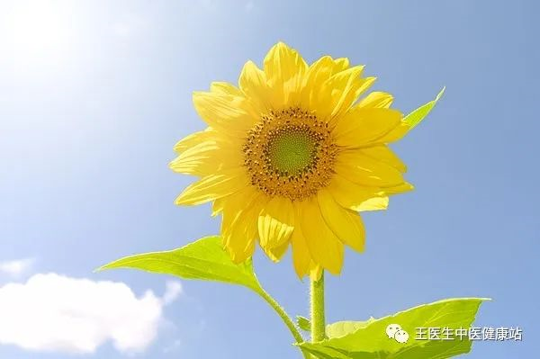 亚洲精品巨爆乳无码大乳巨