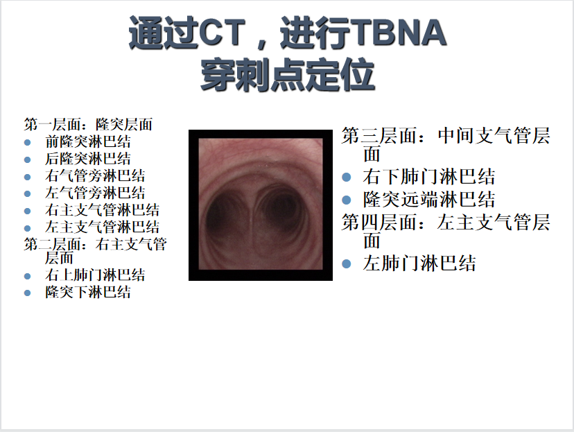 亚洲精品巨爆乳无码大乳巨