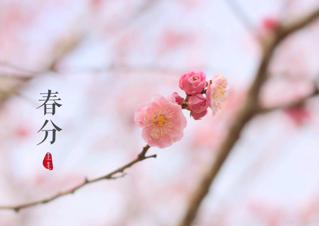 亚洲精品巨爆乳无码大乳巨