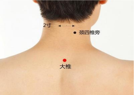 亚洲精品巨爆乳无码大乳巨