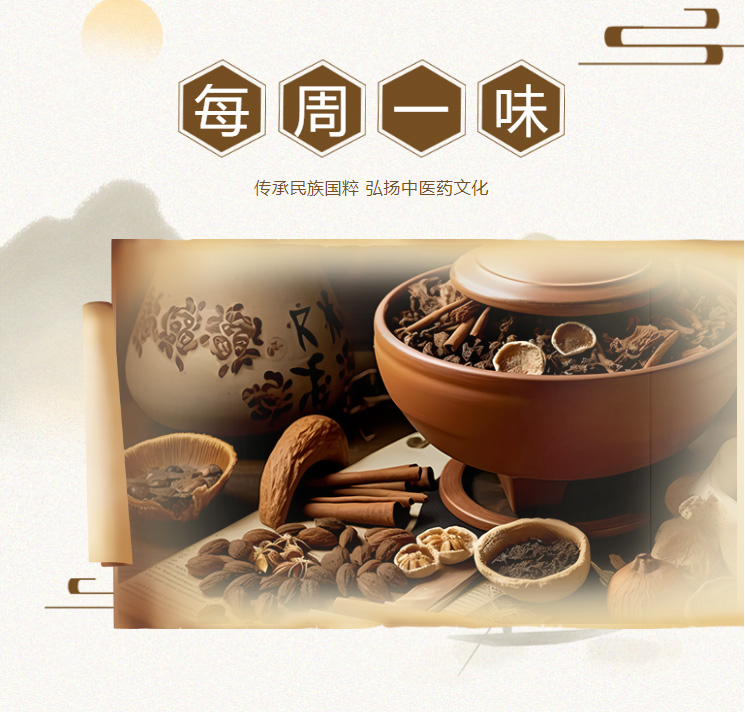 亚洲精品巨爆乳无码大乳巨