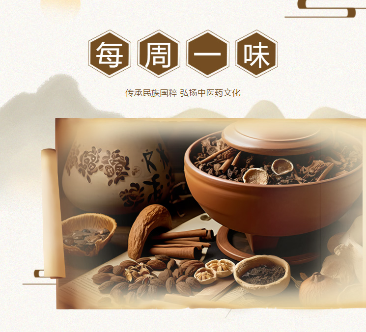 亚洲精品巨爆乳无码大乳巨