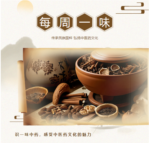 亚洲精品巨爆乳无码大乳巨